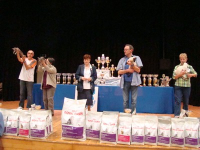 20121021_257 (Expo)